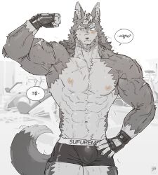 Rule 34 | 1boy, abs, animal ears, bara, biceps, black male underwear, blush, boxer briefs, bulge, cowboy shot, flexing, furry, furry male, grey fur, large pectorals, male focus, male underwear, muscular, muscular male, na-eun (ejdbvaaqup08jfy), navel, nipples, original, pectorals, short hair, solo, standing, stomach, sweat, tail, thick eyebrows, thick thighs, thighs, topless male, two-tone fur, underwear, very sweaty, wolf boy, wolf ears, wolf tail
