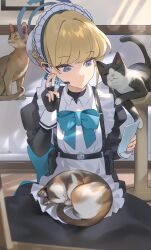 Rule 34 | 1girl, animal, apron, bent v, black dress, black gloves, blonde hair, blue archive, blue eyes, blue ribbon, blush, bow, bowtie, braid, breasts, bun cover, cat, chest harness, dress, earpiece, fingerless gloves, french braid, gloves, hair bun, hair ribbon, halo, harness, highres, hood (james x), juliet sleeves, long sleeves, looking at phone, looking to the side, maid headdress, phone, pouch, puffy sleeves, ribbon, selfie, short hair, single hair bun, sitting, small breasts, taking picture, toki (blue archive), white apron