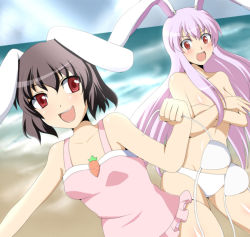 Rule 34 | 2girls, animal ears, assisted exposure, beach, bikini, unworn bikini top, black hair, breast hold, breasts, brown hair, carrot, casual one-piece swimsuit, clothes theft, covering privates, covering breasts, day, female focus, inaba tewi, long hair, multiple girls, ocean, one-piece swimsuit, open mouth, purple hair, rabbit ears, red eyes, reisen udongein inaba, short hair, shuruken (yuumo), swimsuit, swimsuit theft, theft, topless, touhou, very long hair, white bikini