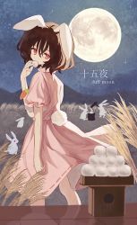 Rule 34 | 1girl, animal ears, brown hair, carrot necklace, commentary request, dango, eating, feet out of frame, floppy ears, food, frilled sleeves, frills, full moon, hair between eyes, highres, inaba tewi, jewelry, kine, looking at viewer, looking back, mallet, mochi, moon, necklace, night, nyanaya, outdoors, pink shirt, pink skirt, puffy short sleeves, puffy sleeves, rabbit, rabbit ears, rabbit girl, rabbit tail, red eyes, ribbon-trimmed skirt, ribbon trim, shirt, short hair, short sleeves, skirt, solo, standing, tail, touhou, tsukimi dango, wagashi, wheat field