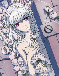 Rule 34 | 1girl, absurdres, coffin, covering privates, covering breasts, darker than black, female focus, flat chest, flower, hair down, highres, iwahara yuuji, long hair, lying, modest, nude, nude cover, on back, pale skin, purple eyes, solo, white hair, yin (darker than black)