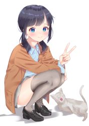 Rule 34 | 1girl, animal, black footwear, black hair, blue eyes, blue shirt, blush, brown jacket, cat, closed mouth, collared shirt, copyright request, dress shirt, full body, grey skirt, grey thighhighs, highres, jacket, k mugura, loafers, long hair, long sleeves, looking at viewer, low twintails, open clothes, open jacket, pleated skirt, shadow, shirt, shoes, skirt, smile, solo, squatting, thighhighs, twintails, white background
