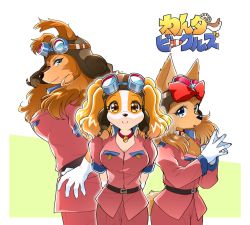 Rule 34 | 3girls, animal ears, animal nose, aviator cap, belt, blue eyes, body fur, bow, breast pocket, breasts, brown eyes, brown fur, brown hair, brown headwear, cleavage, closed mouth, collar, collared jacket, copyright name, cowboy shot, dog ears, dog girl, dog tail, eyewear on head, female focus, from side, furry, furry female, garland (wonder b-cruise), gloves, goggles, hair bow, hand on own hip, hands up, happy, hat, highres, jacket, jane (wonder b-cruise), japanese text, large breasts, leaning forward, long hair, long sleeves, looking at viewer, medium breasts, multiple girls, namagaki yukina, open mouth, outline, own hands together, pants, pink jacket, pink pants, pocket, red bow, short sleeves, simple background, smile, snout, standing, steepled fingers, tail, tracy (wonder b-cruise), translated, two-tone background, two-tone fur, uniform, white background, white fur, white gloves, white outline, wonder b-cruise