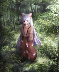 Rule 34 | 1girl, bamboo, bamboo forest, female focus, forest, from above, fujiwara no mokou, hair ribbon, hands in pockets, kurosukey, long hair, looking up, nature, red eyes, ribbon, silver hair, solo, suspenders, touhou