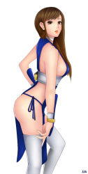 Rule 34 | 1girl, breasts, dead or alive, hair down, kasumi (doa), khalitzburg, large breasts, simple background, solo, tecmo, thighs, white background