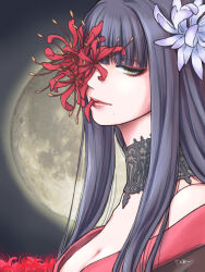 Rule 34 | 1girl, bare shoulders, black collar, black hair, blunt bangs, breasts, cleavage, collar, eyeshadow, final fantasy, final fantasy xiv, flower, flower over eye, from side, full moon, green eyes, hair flower, hair ornament, half-closed eye, highres, huge moon, hyur, lace collar, light brown hair, long hair, looking at viewer, makeup, medium breasts, mole, mole under mouth, moon, mouth hold, night, night sky, off shoulder, one eye covered, portrait, red eyeshadow, red flower, red trim, saku ff11, signature, sky, solo, spider lily, straight hair, white flower, yotsuyu goe brutus