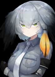 Rule 34 | 10s, 1girl, bad id, bad pixiv id, black background, black hair, breast hold, breasts, collared shirt, crossed arms, expressionless, green eyes, grey necktie, grey shirt, head wings, highres, kemono friends, large breasts, long hair, looking at viewer, low ponytail, mao ge, multicolored hair, necktie, orange hair, shirt, shoebill (kemono friends), side ponytail, silver hair, simple background, solo, tsurime, upper body, white necktie, wings