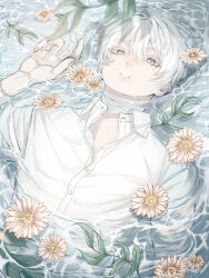 Rule 34 | 1boy, arm up, colored eyelashes, flower on liquid, from above, green eyes, hair between eyes, highres, leaf, leaf on liquid, long bangs, looking at viewer, open clothes, open hand, original, pale skin, parted lips, partially submerged, partially unbuttoned, reflection, reflective water, roku69 illust, shirt, solo, upper body, water, wet, wet hair, white hair, white shirt, wing collar