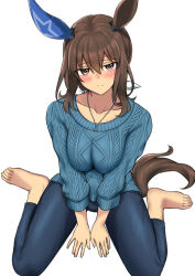 Rule 34 | 1girl, admire vega (umamusume), animal ears, argyle, argyle clothes, argyle sweater, barefoot, between legs, blue pants, blue sweater, blush, bow, breasts, brown hair, cable knit, collarbone, ear covers, ear ornament, feet, frown, hair between eyes, hair bow, hakase yurisuki, hand between legs, highres, horse ears, horse girl, horse tail, jewelry, large breasts, long hair, looking at viewer, pants, pendant, ponytail, red eyes, single ear cover, sitting, solo, sweater, tail, toes, umamusume, wariza, white background