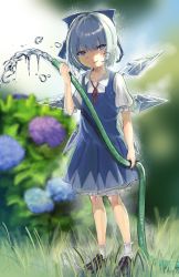 Rule 34 | 1girl, absurdres, black footwear, bloomers, blue bow, blue dress, blue eyes, blue flower, blue hair, blurry, blurry background, bow, cirno, collarbone, collared shirt, day, depth of field, detached wings, dress, flat chest, flower, frilled sleeves, frilled socks, frills, full body, grass, hair between eyes, hair bow, highres, holding, holding hose, hose, hydrangea, ice, ice wings, looking at viewer, neck ribbon, outdoors, petarikooo, pinafore dress, pink flower, puffy short sleeves, puffy sleeves, red ribbon, ribbon, shirt, shoes, short hair, short sleeves, sleeveless dress, socks, solo, standing, touhou, underwear, watering, white bloomers, white shirt, white socks, wings