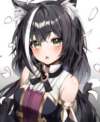 Rule 34 | 1girl, :o, absurdres, animal ear fluff, animal ears, bad id, bad pixiv id, bare shoulders, black hair, blush, brooch, cat ears, cat girl, cat tail, detached sleeves, gem, gradient background, green eyes, highres, indol, jewelry, karyl (princess connect!), long hair, looking at viewer, low twintails, multicolored hair, open mouth, petals, princess connect!, solo, streaked hair, tail, twintails, two-tone hair, upper body, very long hair, white background, white hair