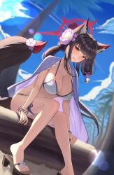 Rule 34 | 1girl, absurdres, animal ears, bikini, blue archive, blue sky, bodam, bracelet, breasts, brown hair, cloud, collarbone, commentary, day, flower, fox ears, fox girl, fox tail, hair flower, hair ornament, halo, highres, jewelry, large breasts, long hair, looking at viewer, official alternate costume, palm tree, red halo, sandals, sitting, sky, smile, swimsuit, tail, thigh strap, toes, tree, wakamo (blue archive), wakamo (swimsuit) (blue archive), white bikini, yellow eyes