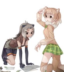 Rule 34 | 10s, 2girls, all fours, american beaver (kemono friends), animal ears, bare shoulders, beaver ears, beaver tail, bike shorts, bike shorts under shorts, black-tailed prairie dog (kemono friends), boots, bow, bowtie, bra, brown hair, commentary request, elbow gloves, extra ears, forehead, fur collar, gloves, grey hair, hair ornament, hairclip, highres, kemono friends, kneeling, light brown hair, long sleeves, multicolored hair, multiple girls, paper, plaid, plaid skirt, pleated skirt, short hair, shorts, skirt, sleeveless, sweater, tail, thighhighs, tito (men-hukurou), underwear, vest