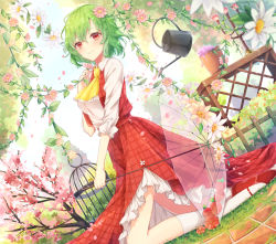 Rule 34 | 1girl, ascot, birdcage, blue sky, blurry, blurry foreground, blush, cage, cherry blossoms, commentary, day, dutch angle, english commentary, flower, flower pot, full body, green hair, hair between eyes, holding, holding flower, holding umbrella, kazami yuuka, kneehighs, kneeling, konnyaku (yuukachan 51), long sleeves, looking at viewer, mary janes, outdoors, petticoat, pink flower, plaid, plaid skirt, plaid vest, purple flower, red eyes, red footwear, red skirt, red vest, shirt, shoes, skirt, sky, socks, solo, touhou, transparent, transparent umbrella, tree, umbrella, vest, watering can, white flower, white shirt, white socks, yellow ascot