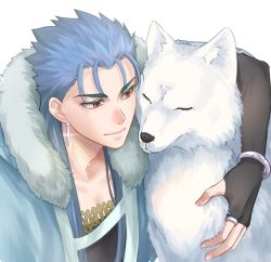 Rule 34 | 1boy, 1other, blue hair, bracelet, capelet, close-up, closed mouth, cu chulainn (caster) (fate), cu chulainn (fate), earrings, fate/grand order, fate (series), fur-trimmed hood, fur trim, hood, hood down, hooded capelet, jewelry, long hair, looking at another, male focus, red eyes, saku (saksak1100), simple background, smile, spiked hair, white wolf, wolf