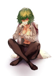 Rule 34 | 1girl, breasts, brown pantyhose, commentary request, covering privates, covering breasts, full body, green hair, hair between eyes, hand up, head rest, highres, indian style, kazami yuuka, kikimifukuri, knees up, large breasts, lips, long sleeves, navel, no pants, no shoes, open clothes, open shirt, pantyhose, red eyes, red vest, shadow, shiny skin, shirt, short hair, simple background, sitting, solo, stomach, thighs, touhou, vest, white background, white shirt, wing collar