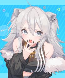Rule 34 | 1girl, ahoge, animal ears, black jacket, black nails, black shirt, blue background, blush, breasts, character name, cleavage, commentary, earrings, eyelashes, fangs, from above, fur-trimmed jacket, fur trim, grey eyes, hair between eyes, hand to own mouth, highres, hololive, jacket, jewelry, lion ears, long hair, looking at viewer, medium breasts, midriff, nail polish, navel, necklace, off shoulder, open clothes, open jacket, open mouth, see-through, see-through cleavage, shirt, shishiro botan, shishiro botan (1st costume), silver hair, simple background, sleeveless, sleeveless shirt, solo, tamayume, upper body, virtual youtuber