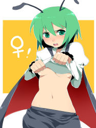 Rule 34 | !, 1girl, androgynous, antennae, bad id, bad pixiv id, blush, breasts, cape, clothes lift, female focus, green eyes, green hair, hattori masaki, matching hair/eyes, navel, open mouth, reverse trap, shirt lift, short hair, small breasts, solo, touhou, underboob, wriggle nightbug
