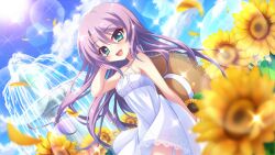 Rule 34 | 1girl, aqua eyes, bare shoulders, blue sky, blurry, blurry foreground, breasts, brown hat, cleavage, cloud, criss-cross straps, day, dot nose, dress, dutch angle, falling petals, field, film grain, flower, flower field, fountain, game cg, hand in own hair, hat, hat ribbon, holding, holding clothes, holding hat, izumi tsubasu, lens flare, long hair, looking at viewer, non-circular lens flare, non-web source, official art, open mouth, outdoors, petals, purple hair, re:stage!, ribbon, sky, small breasts, smile, solo, spaghetti strap, sparkle, straw hat, sun, sundress, sunflower, sunflower field, tsukisaka sayu, unworn headwear, white dress, white ribbon