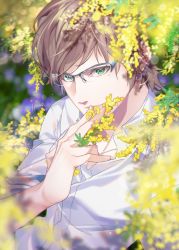 Rule 34 | 1boy, brown hair, collared shirt, covering own mouth, final fantasy, final fantasy xv, flower, glasses, green eyes, hinoe (dd works), holding, holding flower, ignis scientia, looking at viewer, male focus, outdoors, shirt, short hair, sleeves rolled up, smile, solo, upper body, white shirt, yellow flower