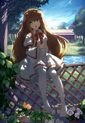 Rule 34 | 10s, 1girl, :d, backlighting, baisi shaonian, blue sky, breasts, brown hair, building, dappled sunlight, day, dress, feet, fence, flower, flower pot, green eyes, highres, house, kanbe kotori, lolita fashion, long hair, looking at viewer, medium breasts, open mouth, outdoors, pantyhose, plant, potted plant, rewrite, scenery, sitting, sitting on object, sky, smile, stream, sunlight, thighhighs, white thighhighs