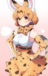 Rule 34 | 1girl, :t, absurdres, animal ear fluff, animal ears, bad id, bad pixiv id, bare shoulders, belt, blush, bow, bowtie, breasts, cowboy shot, elbow gloves, extra ears, gloves, hair ornament, hairclip, hands on own hips, high-waist skirt, highres, kemono friends, light brown hair, looking at viewer, medium breasts, pouch, pout, print bow, print bowtie, print gloves, print neckwear, print skirt, serval (kemono friends), serval print, serval tail, shirt, short hair, skirt, sleeveless, solo, tail, takom, traditional bowtie, white shirt, yellow eyes