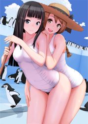 Rule 34 | 2girls, :d, arched back, bare legs, bare shoulders, bird, black eyes, black hair, blue sky, braid, breasts, brown eyes, brown hair, cloud, collarbone, day, hat, highres, leaning forward, light smile, long hair, looking at viewer, medium breasts, multiple girls, nanahime, one-piece swimsuit, open mouth, original, penguin, school swimsuit, sky, smile, sun hat, swimsuit, twin braids, white school swimsuit, white one-piece swimsuit