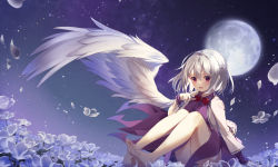 Rule 34 | 1girl, arm support, bare legs, barefoot, bow, bowtie, braid, commentary request, dress, feathered wings, feet, finger to own chin, flower, french braid, full moon, hair between eyes, highres, jacket, kisaragi yuri, kishin sagume, legs together, long sleeves, looking at viewer, moon, night, open clothes, open jacket, open mouth, outdoors, purple dress, reclining, red bow, red bowtie, red eyes, short hair, silver hair, single wing, sky, solo, star (sky), starry sky, thighs, toes, touhou, white jacket, wings