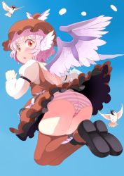 Rule 34 | 1girl, animal ears, ass, backless outfit, bird, blush, brown thighhighs, dress, hamaburicchi, hat, lace, lace-trimmed panties, lace trim, long sleeves, looking at viewer, looking back, mystia lorelei, panties, pink hair, pink panties, red eyes, revision, short hair, solo, sparrow, striped clothes, striped panties, thighhighs, touhou, underwear, wings