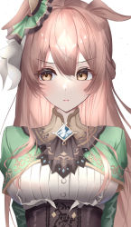 Rule 34 | 1girl, animal ears, arms at sides, bow, braid, breasts, brooch, brown eyes, brown hair, closed mouth, collared dress, dress, ear ribbon, french braid, green dress, hair between eyes, half updo, highres, horse ears, horse girl, jewelry, large breasts, light blush, light frown, long hair, long sleeves, looking away, looking to the side, satono diamond (umamusume), simple background, solo, straight-on, takmi, umamusume, underbust, upper body
