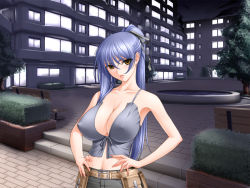Rule 34 | 1girl, bare shoulders, belt, bench, blue hair, breasts, brown eyes, building, cleavage, covered erect nipples, game cg, hand on own hip, large breasts, long hair, looking at viewer, navel, night, ogushi yuniko, outdoors, ponytail, sano toshihide, shichinin no online gamers, solo, standing, tree