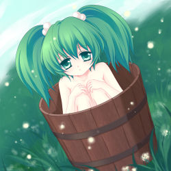Rule 34 | 1girl, bad id, bad pixiv id, bucket, completely nude, female focus, green eyes, green hair, hair bobbles, hair ornament, in bucket, in container, kisume, long hair, matching hair/eyes, mikazuki sara, nature, nude, outdoors, plant, sky, solo, touhou, twintails