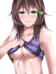Rule 34 | 1girl, blush, breasts, brown hair, ceijin, closed mouth, clothes lift, collarbone, commentary, green eyes, hair ornament, hairclip, highres, long hair, looking at viewer, medium breasts, original, purple shirt, shirt, shirt lift, sketch, sleeveless, sleeveless shirt, smile, solo, upper body, white background