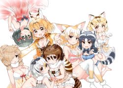 Rule 34 | 10s, 6+girls, :3, :d, :o, alpaca ears, alpaca suri (kemono friends), animal ears, arato asato, babydoll, bare arms, bare legs, bird tail, black hair, blonde hair, bloomers, bow, bowtie, bra, breasts, brown eyes, brown hair, cleavage, closed mouth, collar, collarbone, common raccoon (kemono friends), eurasian eagle owl (kemono friends), fang, fangs, fennec (kemono friends), fox ears, frills, fur collar, fur trim, gloves, grey eyes, grey hair, hair between eyes, hair ornament, hair over one eye, hand on another&#039;s head, hand on own chest, hands up, heart, highres, holding hands, hood, hood down, hoodie, interlocked fingers, kaban (kemono friends), kemono friends, kneeling, lingerie, long hair, long sleeves, looking at viewer, multicolored hair, multiple girls, navel, northern white-faced owl (kemono friends), open clothes, open hoodie, open mouth, outstretched arms, panties, paw pose, raccoon ears, raccoon tail, sand cat (kemono friends), see-through, serval (kemono friends), serval tail, simple background, sitting, smile, stomach, striped tail, tail, thighhighs, tsurime, underwear, underwear only, upside-down, white background, white bloomers, white hair, yellow eyes