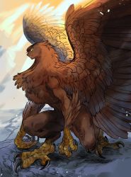Rule 34 | 1girl, bird wings, brown feathers, closed mouth, dawn, feathers, full body, highres, knee up, li sakura, looking to the side, no humans, original, solo, standing, talons, wings, yellow eyes