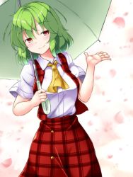 Rule 34 | 1girl, aka tawashi, ascot, blush, breasts, commentary request, cowboy shot, green hair, hand up, head tilt, highres, holding, holding umbrella, kazami yuuka, looking at viewer, medium breasts, petals, plaid, plaid skirt, plaid vest, red eyes, red skirt, red vest, shirt, short hair, short sleeves, skirt, smile, solo, standing, touhou, umbrella, vest, white background, white shirt, wing collar, yellow ascot