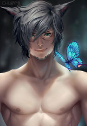 Rule 34 | 1boy, animal ears, aqua eyes, artist name, bare shoulders, black hair, bug, butterfly, cat ears, chuby mi, closed mouth, collarbone, facial hair, facial mark, facial tattoo, final fantasy, final fantasy xiv, highres, bug, looking at viewer, male focus, miqo&#039;te, nipples, pectorals, realistic, topless male, short hair, slit pupils, solo, tattoo, upper body
