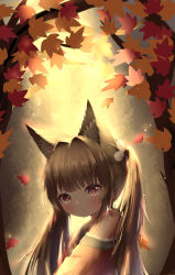 Rule 34 | 1girl, absurdres, amagi-chan (azur lane), animal ears, armpit peek, autumn, autumn leaves, azur lane, black hair, blunt bangs, branch, commentary request, fox ears, from side, grey eyes, head tilt, highres, japanese clothes, kimono, leaf, long hair, looking at viewer, looking to the side, maple leaf, meng mian, off shoulder, rope, shimenawa, sidelocks, solo, tree, twintails