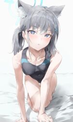 Rule 34 | 1girl, all fours, animal ears, black one-piece swimsuit, blue archive, blue eyes, blue halo, breasts, collarbone, competition swimsuit, covered navel, cross hair ornament, earrings, extra ears, grey hair, hair ornament, halo, highleg, highleg swimsuit, highres, jewelry, kuu (user gngs5284), looking at viewer, low ponytail, medium breasts, medium hair, mismatched pupils, official alternate costume, one-piece swimsuit, open mouth, shiroko (blue archive), shiroko (swimsuit) (blue archive), solo, stud earrings, swimsuit, wolf ears
