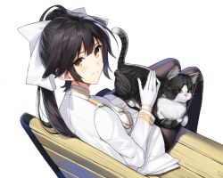 Rule 34 | 1girl, animal, animal on lap, azur lane, bench, black hair, black pantyhose, blush, breasts, cat, cat on lap, closed mouth, commentary, cowboy shot, from behind, gloves, hair flaps, hair ribbon, jacket, long hair, long sleeves, looking at viewer, looking back, medium breasts, military, military uniform, miniskirt, on lap, pantyhose, petting, pleated skirt, ponytail, ribbon, simple background, sitting, skirt, smile, solo, takao (azur lane), tamatabe, thighband pantyhose, uniform, white background, white gloves, white jacket, white ribbon, white skirt, yellow eyes