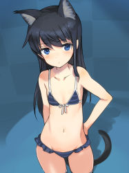 Rule 34 | alice gear aegis, animal ears, bikini, blue bikini, blue eyes, blue hair, breasts, cat ears, cat tail, collarbone, commentary, commentary request, cowboy shot, dark blue hair, frilled bikini, frills, hand on own hip, kemonomimi mode, koashi mutsumi, looking at viewer, navel, shimada fumikane, skindentation, small breasts, solo, striped bikini, striped clothes, swimsuit, tail