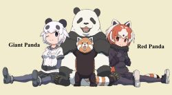 Rule 34 | 2girls, ;), animal ears, black footwear, black gloves, black legwear, black sailor collar, black shirt, black shorts, black skirt, blouse, brown eyes, brown hair, character name, closed mouth, english text, fingers together, fur collar, giant panda (kemono friends), gloves, highres, interlocked fingers, kemono friends, kemono friends 2, pantyhose under shorts, lesser panda (kemono friends), long sleeves, looking at viewer, miniskirt, multiple girls, name connection, neckerchief, one eye closed, own hands together, panda ears, pantyhose, pleated skirt, red panda ears, red panda tail, sailor collar, shirt, shoes, short hair, short sleeves, shorts, simple background, sitting, skirt, smile, white hair, white neckerchief, white shirt, yamaguchi yoshimi, yellow background