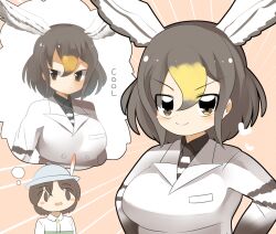 Rule 34 | 2girls, black necktie, black shirt, blonde hair, breasts, brown hair, captain (kemono friends), closed mouth, collared shirt, commentary request, feathered wings, hair between eyes, head wings, imagining, kemono friends, kemono friends 3, large breasts, lets0020, long sleeves, looking at viewer, medium bangs, medium hair, multicolored hair, multiple girls, necktie, northern goshawk (kemono friends), shirt, short hair, smile, striped necktie, upper body, v-shaped eyebrows, white necktie, white shirt, white wings, wings, yellow eyes
