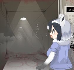 Rule 34 | 1girl, animal ears, arai-san mansion, black hair, blood, blood splatter, blue shirt, blush, breasts, brown eyes, commentary request, common raccoon (kemono friends), door, elbow gloves, elevator, english text, gloves, gradient gloves, grey gloves, grey hair, hallway, highres, indoors, kemono friends, lets0020, looking afar, medium breasts, multicolored hair, open mouth, puffy short sleeves, puffy sleeves, raccoon ears, raccoon girl, shirt, short hair, short sleeves, solo, translation request, upper body, white hair