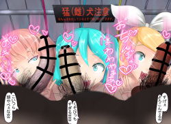 Rule 34 | 3girls, aqua eyes, aqua hair, blonde hair, censored, foreskin, happy, hatsune miku, highres, kagamine rin, megurine luka, multiple girls, penis, penis on face, pink hair, pubic hair, saliva, testicles, tongue, tongue out, translation request, twintails, v, vocaloid