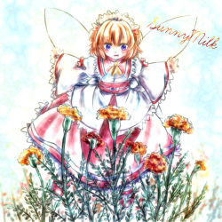 Rule 34 | 1girl, :d, blonde hair, blue eyes, character name, dress, fairy, fairy wings, fang, flower, frilled dress, frilled sleeves, frills, highres, myo-gateien, myouga teien, open mouth, outstretched arms, short hair, smile, spread arms, sunny milk, touhou, wings