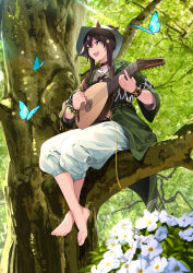 Rule 34 | 1girl, :d, absurdres, anklet, arknights, barefoot, blue butterfly, brown hair, bug, butterfly, commentary, fedora, flower, green eyes, green jacket, hair ornament, hat, highres, holding, holding instrument, insect, instrument, jacket, jewelry, long hair, long sleeves, lute (instrument), meteor (arknights), meteor (bard&#039;s holiday) (arknights), music, open clothes, open jacket, open mouth, pants, playing instrument, shijie jianfa, sitting, smile, solo, star (symbol), star hair ornament, white flower, white hat, white pants
