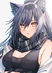 Rule 34 | 1girl, animal ear fluff, animal ears, arknights, bare shoulders, black scarf, breasts, cat ears, cleavage, commentary request, coyucom, grey background, hair between eyes, long hair, looking at viewer, medium breasts, off shoulder, parted lips, scarf, schwarz (arknights), silver hair, solo, upper body, yellow eyes