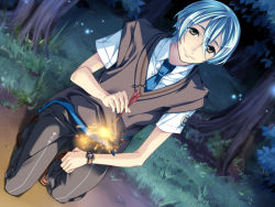 Rule 34 | 1boy, blue necktie, dutch angle, fire, fireworks, fire, game cg, kanakubo homare, looking at viewer, male focus, necktie, outdoors, plant, shirt, solo, sparkler, starry sky (game), sweater vest, tree, white shirt