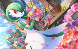 Rule 34 | :d, basket, cloud, cocoloco, commentary request, creatures (company), day, flower, game freak, gardevoir, gen 3 pokemon, hands up, holding, holding flower, looking to the side, nintendo, open mouth, outdoors, pokemon, pokemon (creature), red eyes, sky, smile, solo, tongue, wood